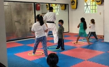 AGRUPACION MEXICANA DE TAEKWONDO SOL CAUCEL HERMANOS VERGARA