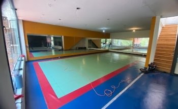 Kodokan México