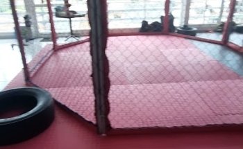 Lycans MMA- ajusco