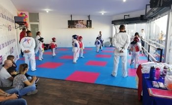 Academia Deportiva de Taekwondo Villa de Pozos