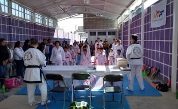 TAEKWONDO INTKD LOBOS