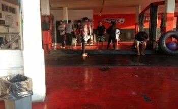 Yudansha Fighting System