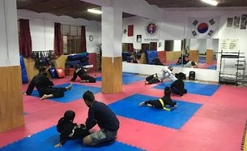 hapkido J.S Mu Ye Won