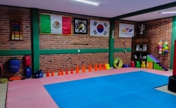 Colegio Autonomo de Tae Kwon Do