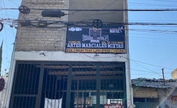Kingwolf MMA