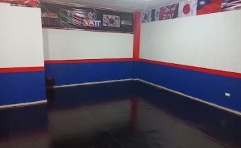 Vatt academy cosmopolis