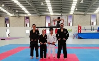 Sugi Hapkido México