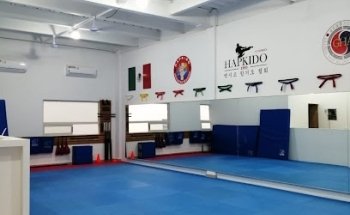 Hapkido Cumbres
