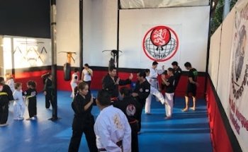 Chito Kan Internacional Marquez