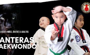 Taekwondo Ji Do Kwan Panteras