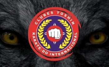 Toshin Héroes Ozumbilla