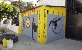 Taekwondo Taekyon-Fenix