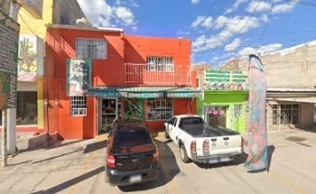 Xinju - Wu Shu - Kung Fu