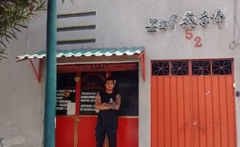 Kung Fu Choy Lee Fut Familia Chan