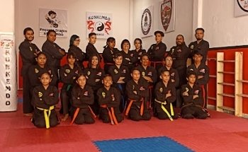 Instituto Kunkemdo