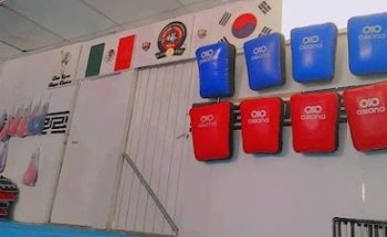 Instituto Marcial de Tae Kwon Do, A.C.