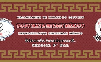 Karate Do Dojo Maya Miyagi
