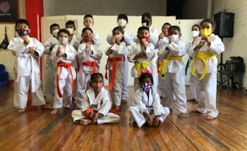 Escuela Profesional de Taekwondo