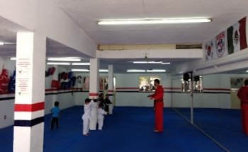 WTF Tae Kwon Do