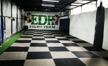 EDH FIGHT TEAM
