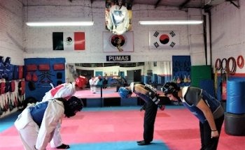 Pumas Tae Kwon Do Juan Escutia