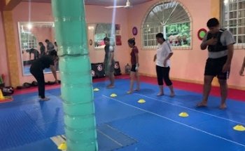 Centro de Artes Marciales Mixtas