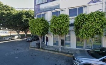 Academia de jiu jitsu y MMA Puebla Gracie Jiu jitsu