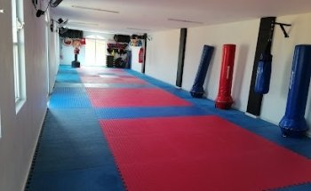 Tae Kwon Do Elite Xalisco