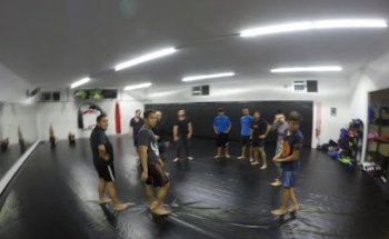 Lions Alpha Team Santa Catarina