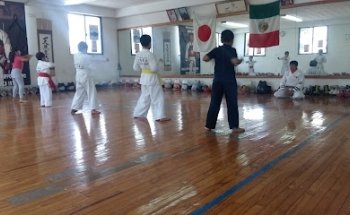 NIPPON KEMPO BUYUKAI