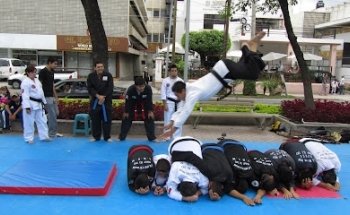 Artes Marciales de Korea