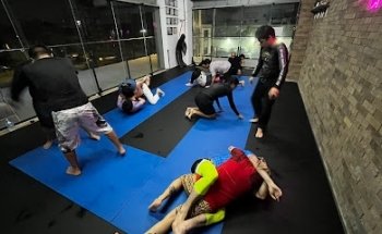 SD Studio Plaza Andenes - Jiujitsu y más.
