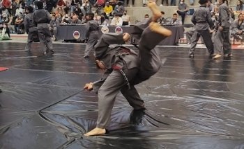 Fenix Academy Sin Moo Hapkido