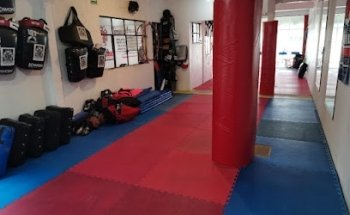 Okinawa Seito Karate Do Hiroshima Shudokan México