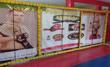 Academia de Artes Marciales Mixtas Masatoshi Nakayama