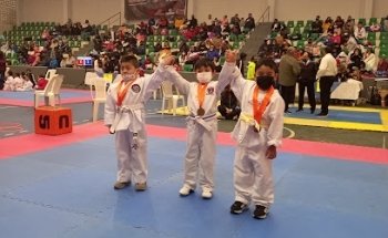 TAEKWONDO ESPECIALIZADO. VER