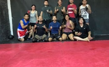 Alkem mma