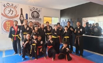 Black Warriors Artes Marciales