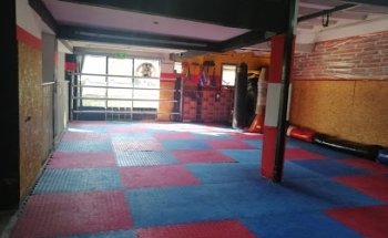 Asociación Mexicana Kim's Tae Kwon Do