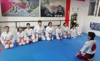 Murata Warriors Cárdenas