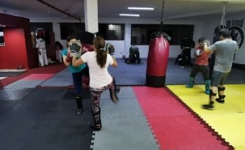 Old School MMA