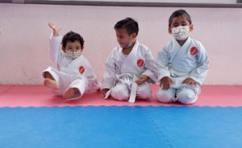 JISEIKAN ESCUELA DE KARATE DO Y KOBUDO