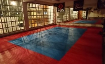 Combat Karate