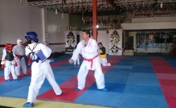 Mushin Kai Karate Do