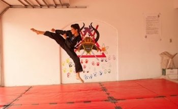Advanced Kenpo Training System