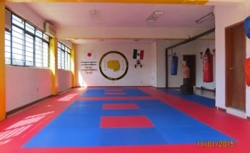 School Karate-Do-Kai Kobudo