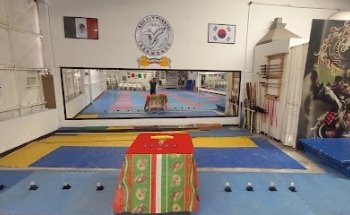 Agiles y Fuertes Tae Kwon Do La Piedad