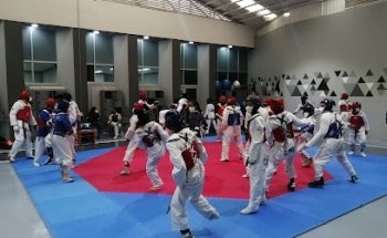 Taekwondo Plateros American Team