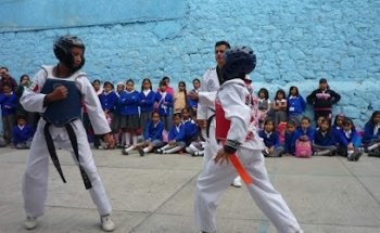 TKD AVE FÉNIX MÉXICO