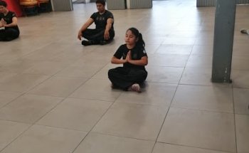 金龍獅 Jīn lóng Shī